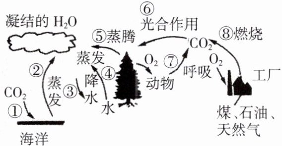 海洋