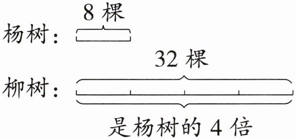 柳树是杨树的4倍