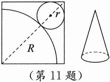 第11题