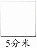 5分米