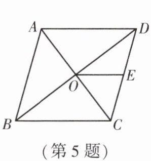 第5题