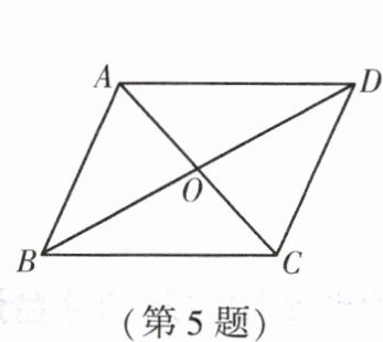 第5题