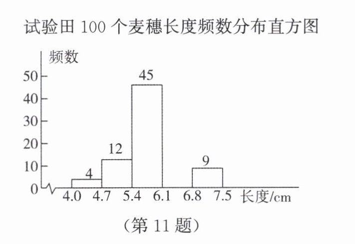 第11题