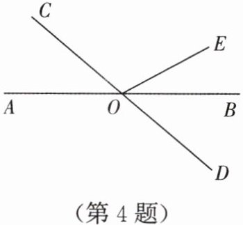第4题