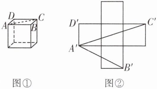 图d2
