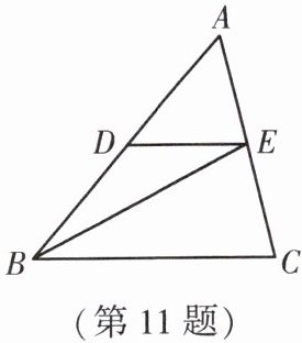 第11题