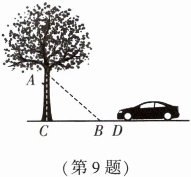 第9题