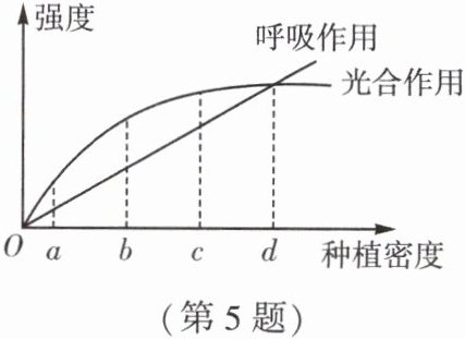 第5题