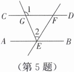第5题