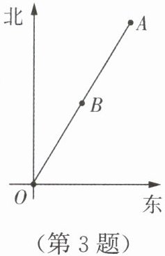 第3题