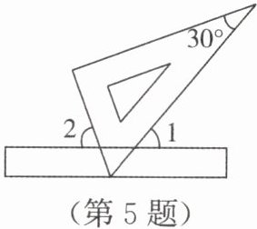 第5题
