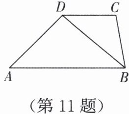 第11题
