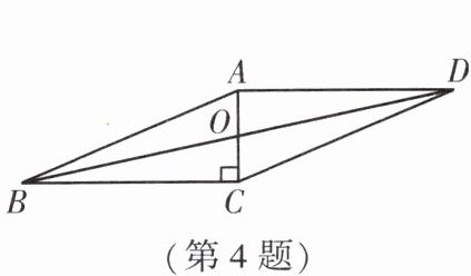 第4题