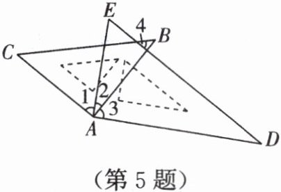 第5题