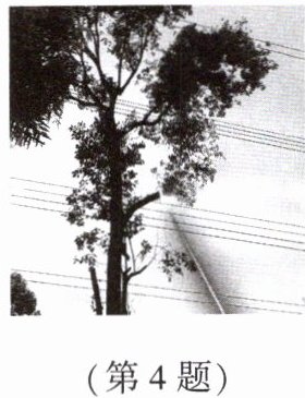 第4题