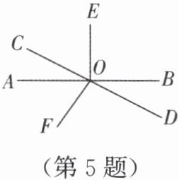 第5题