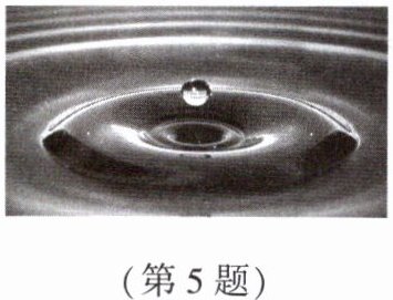 第5题