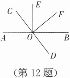 第12题