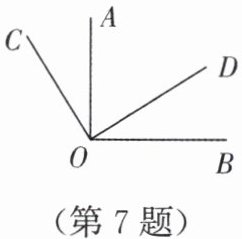 第7题