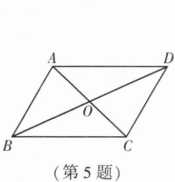 第5题