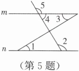 第5题