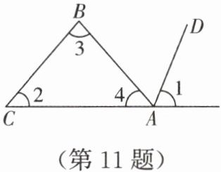 第11题