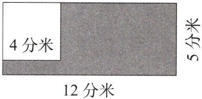 12分米