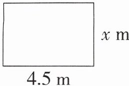 nbsp45m