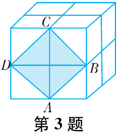 第3题