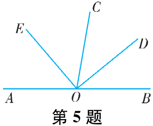 第5题