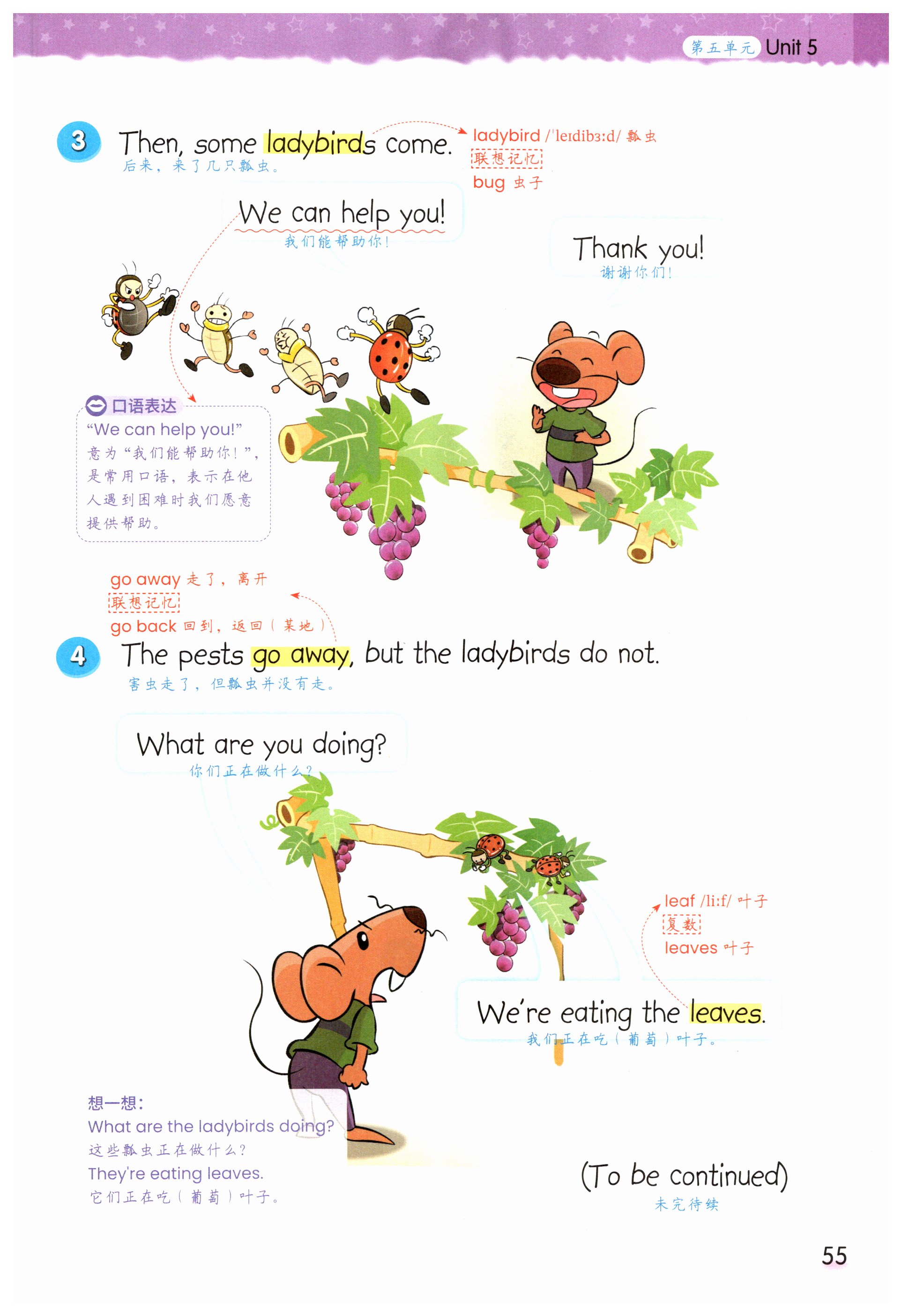 第55页