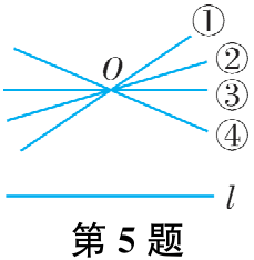 第5题