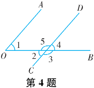 第4题