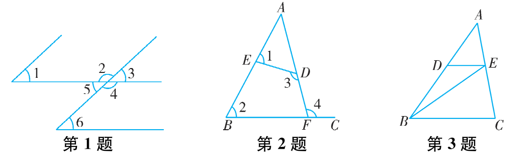 第3题