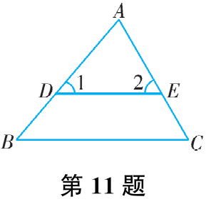 第11题