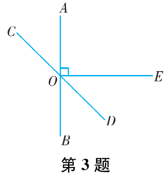 第3题