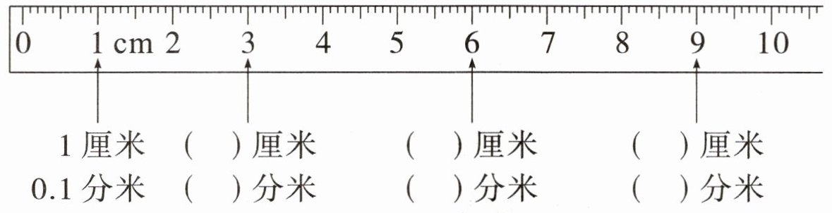 分米