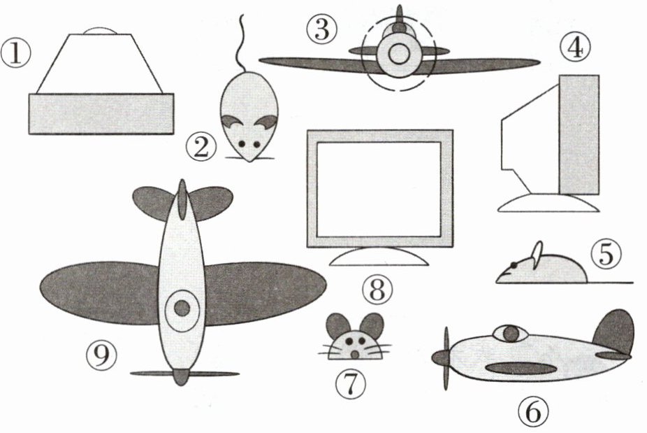 d6