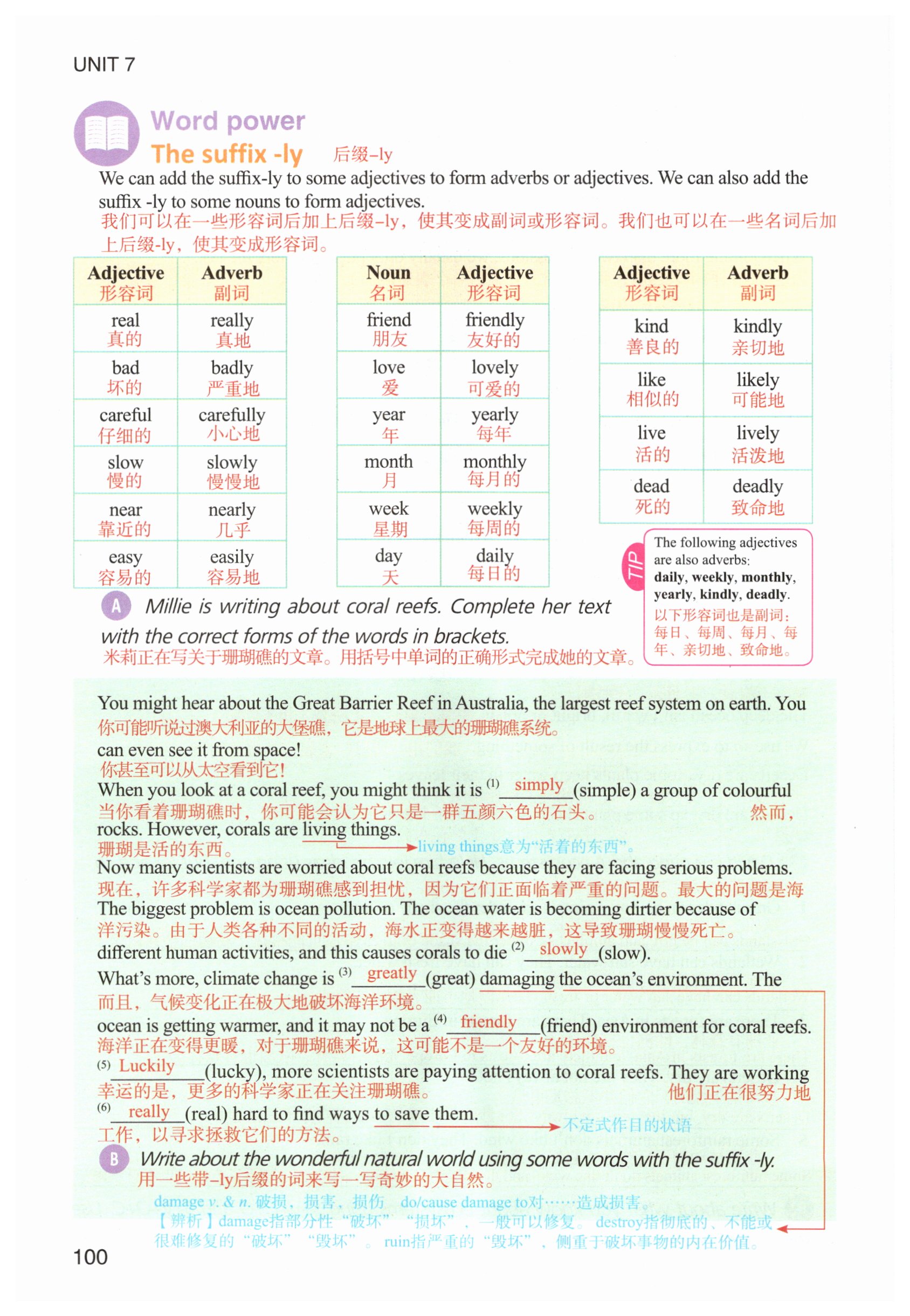 第100页