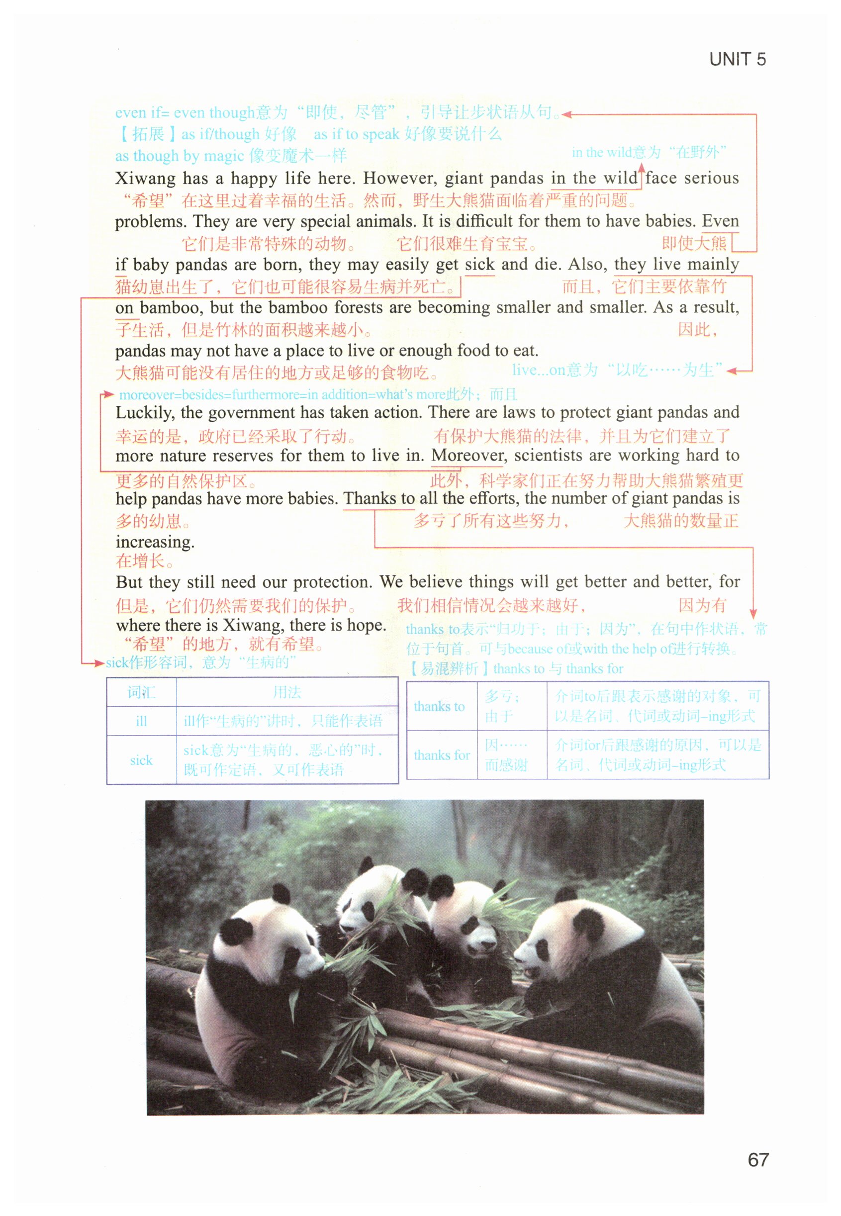 第67页