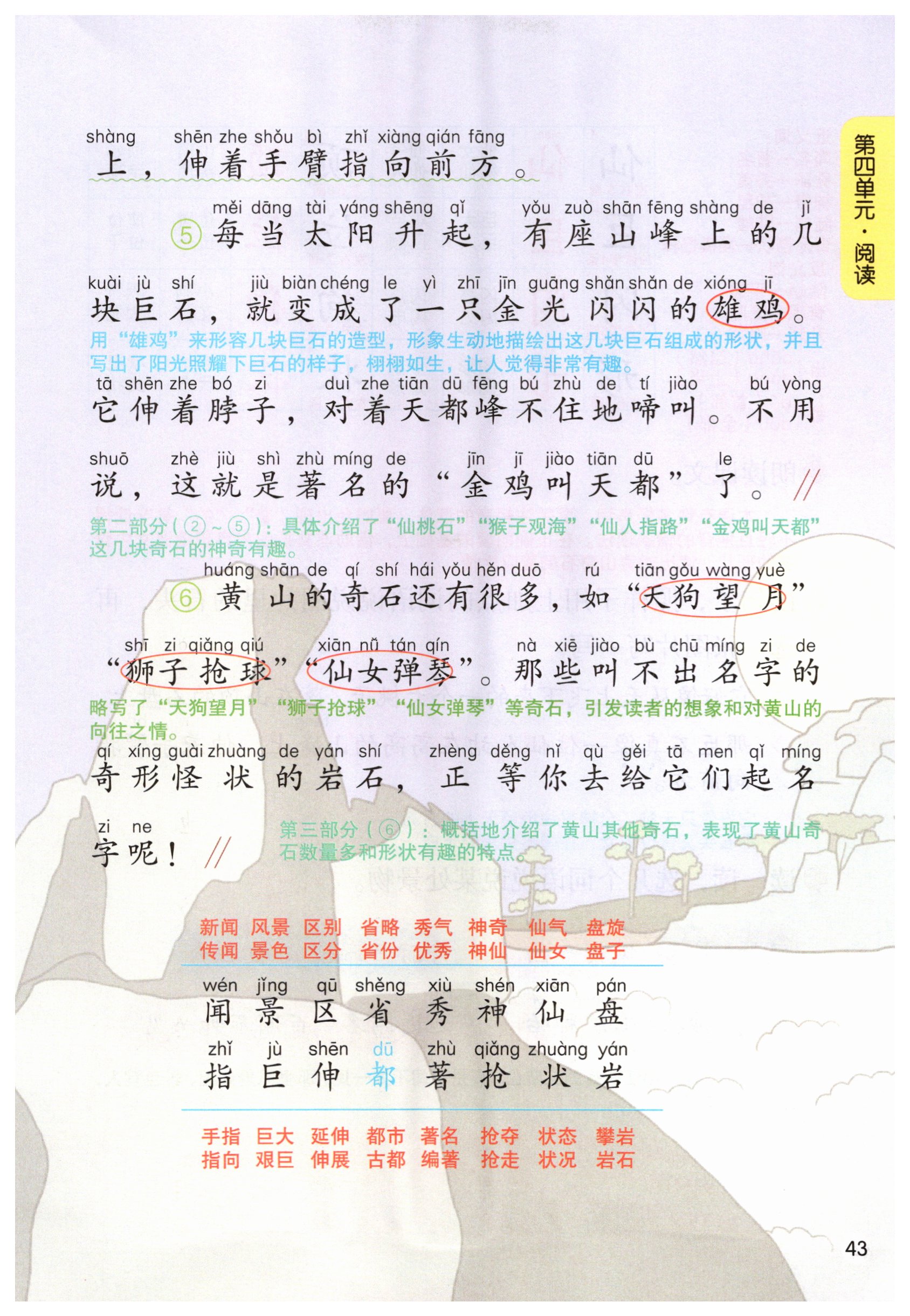 第43页