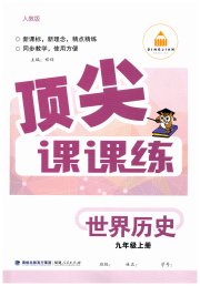 顶尖课课练九年级世界历史人教版