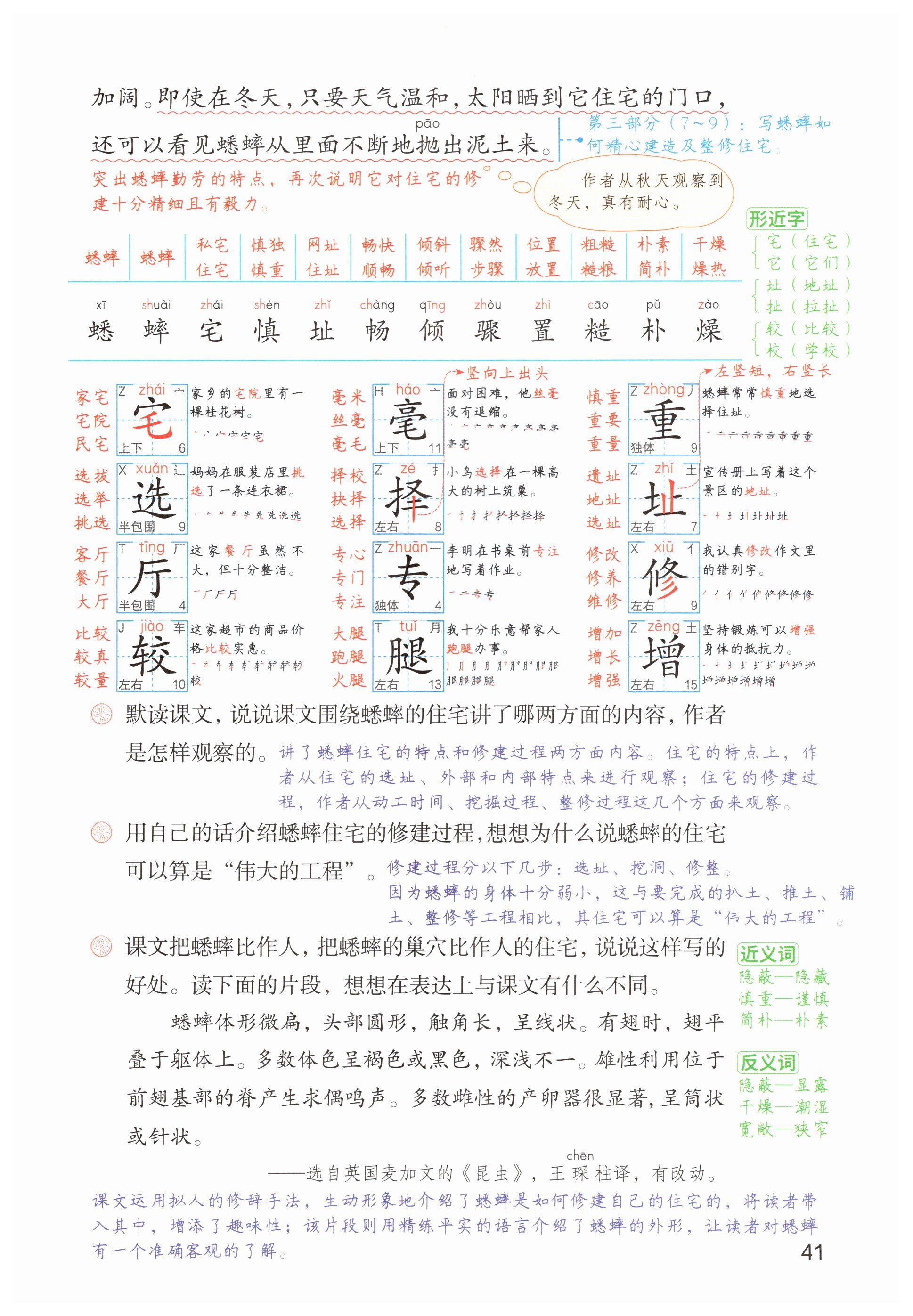 第41页