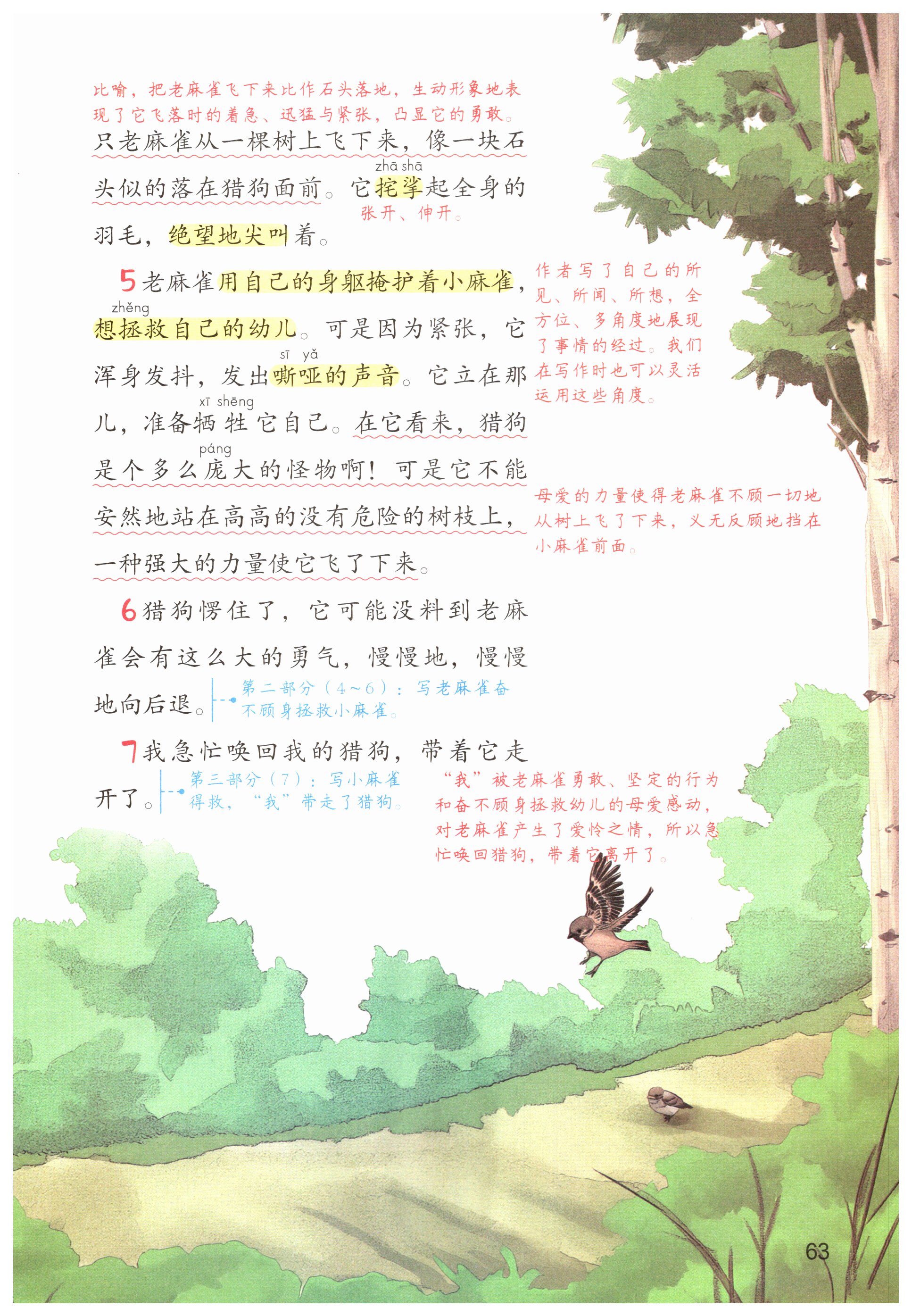 第63页