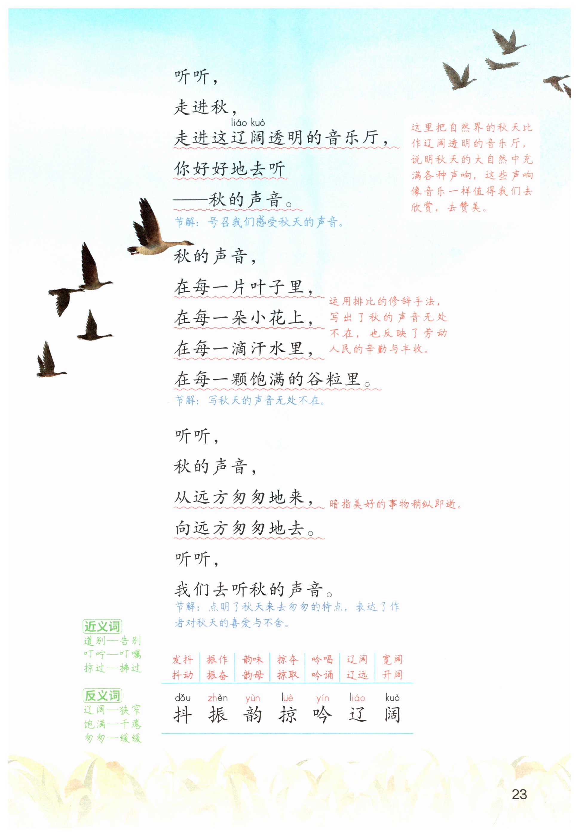 第23页