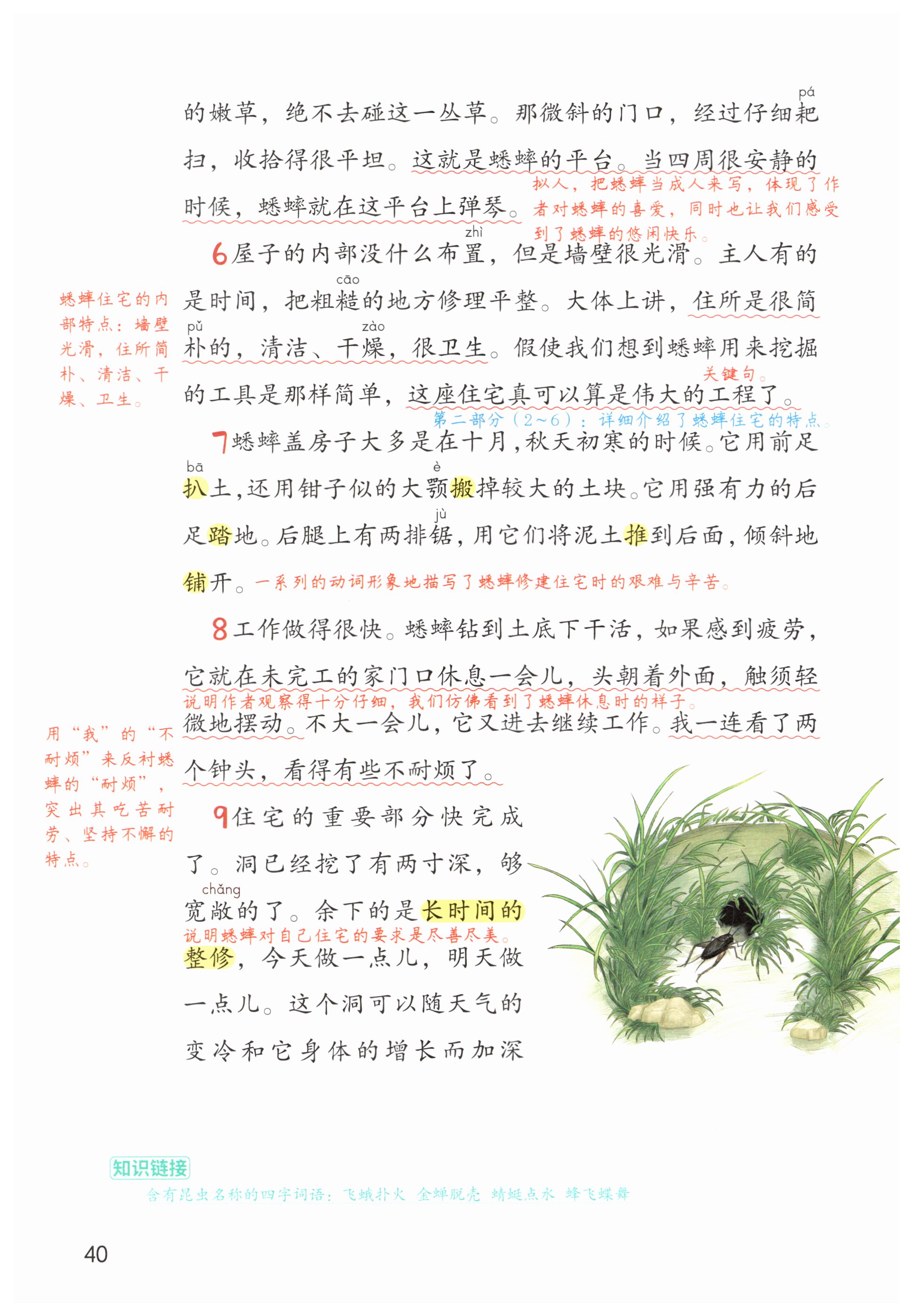 第40页
