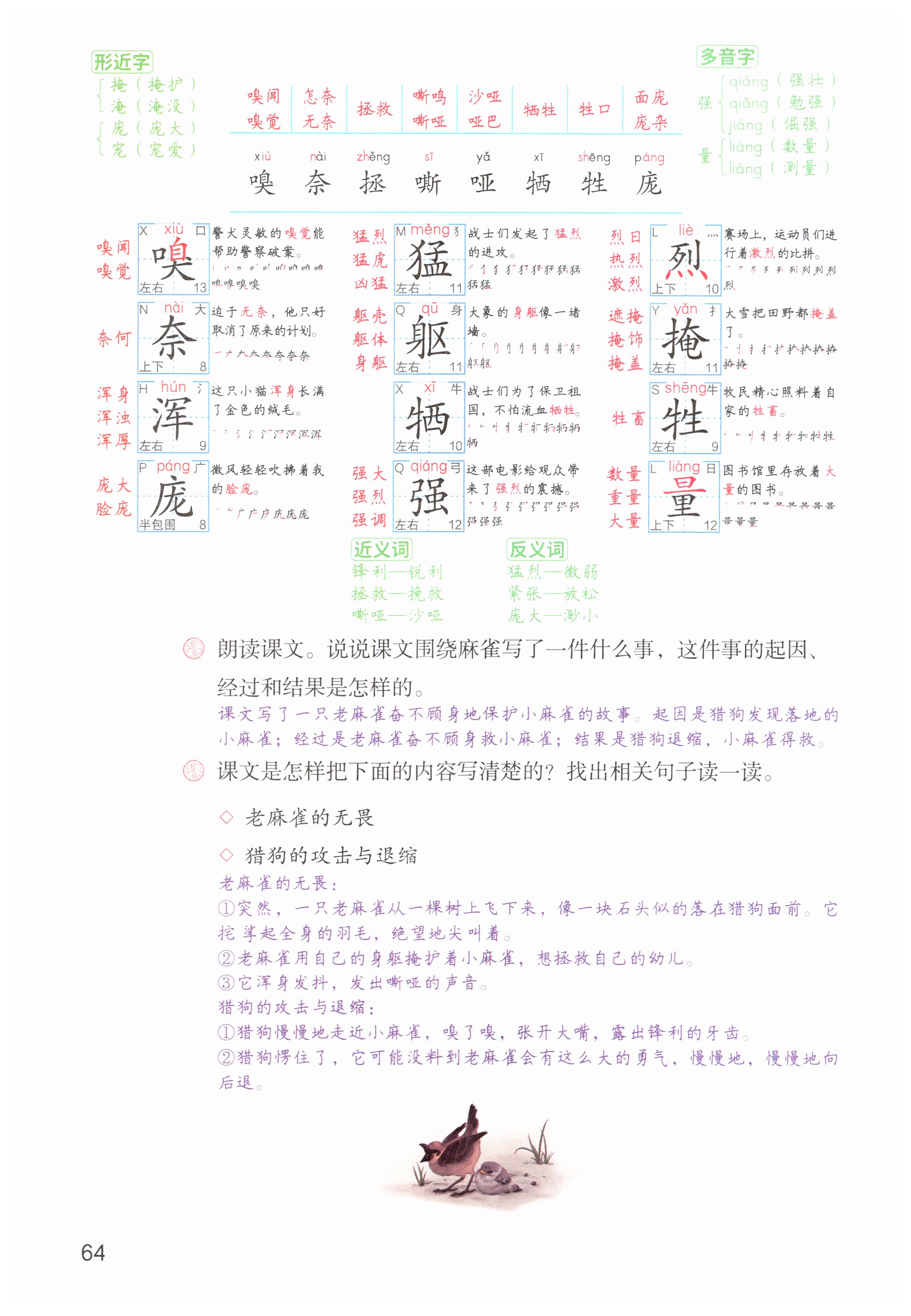 第64页