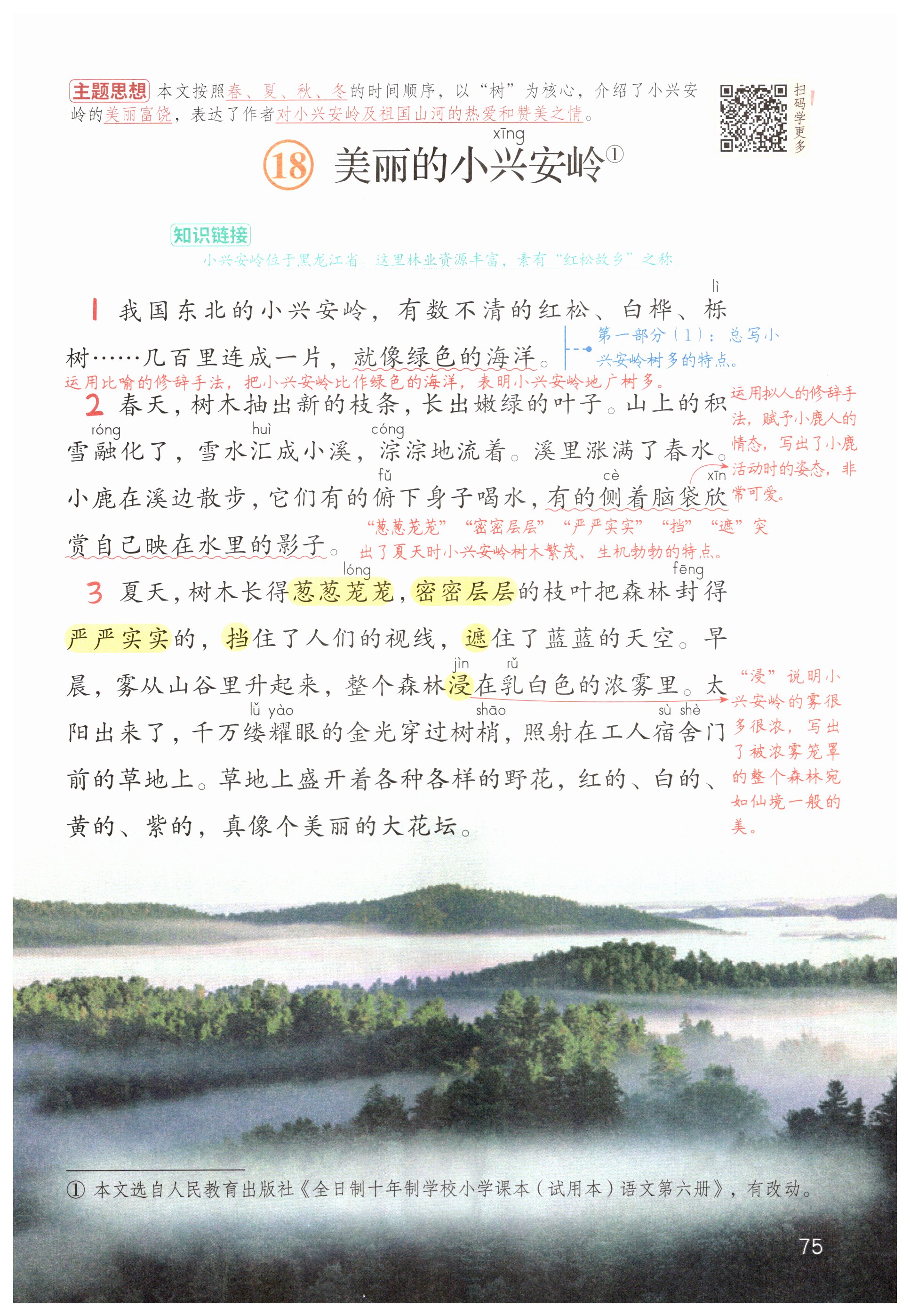 第75页