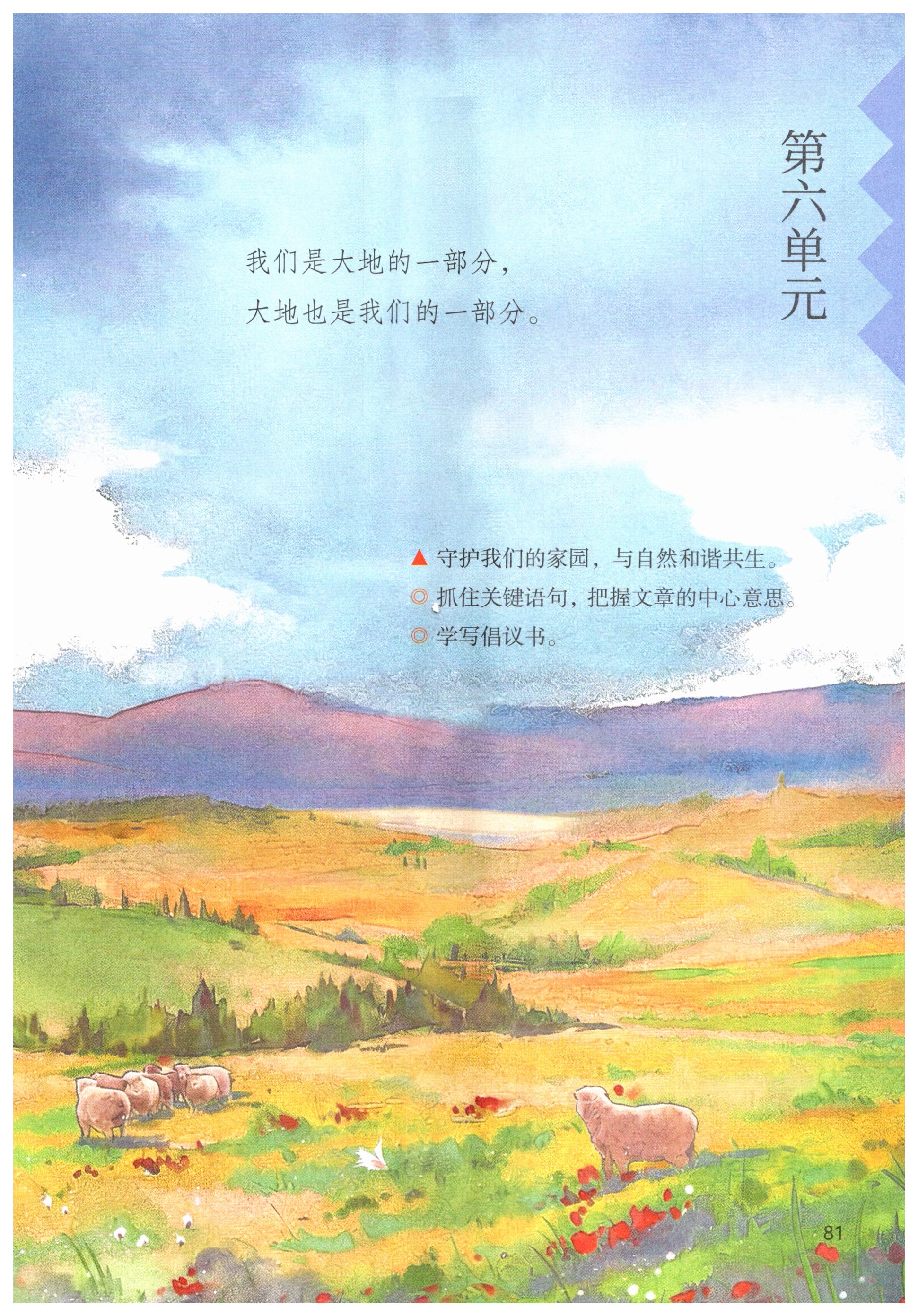第81页
