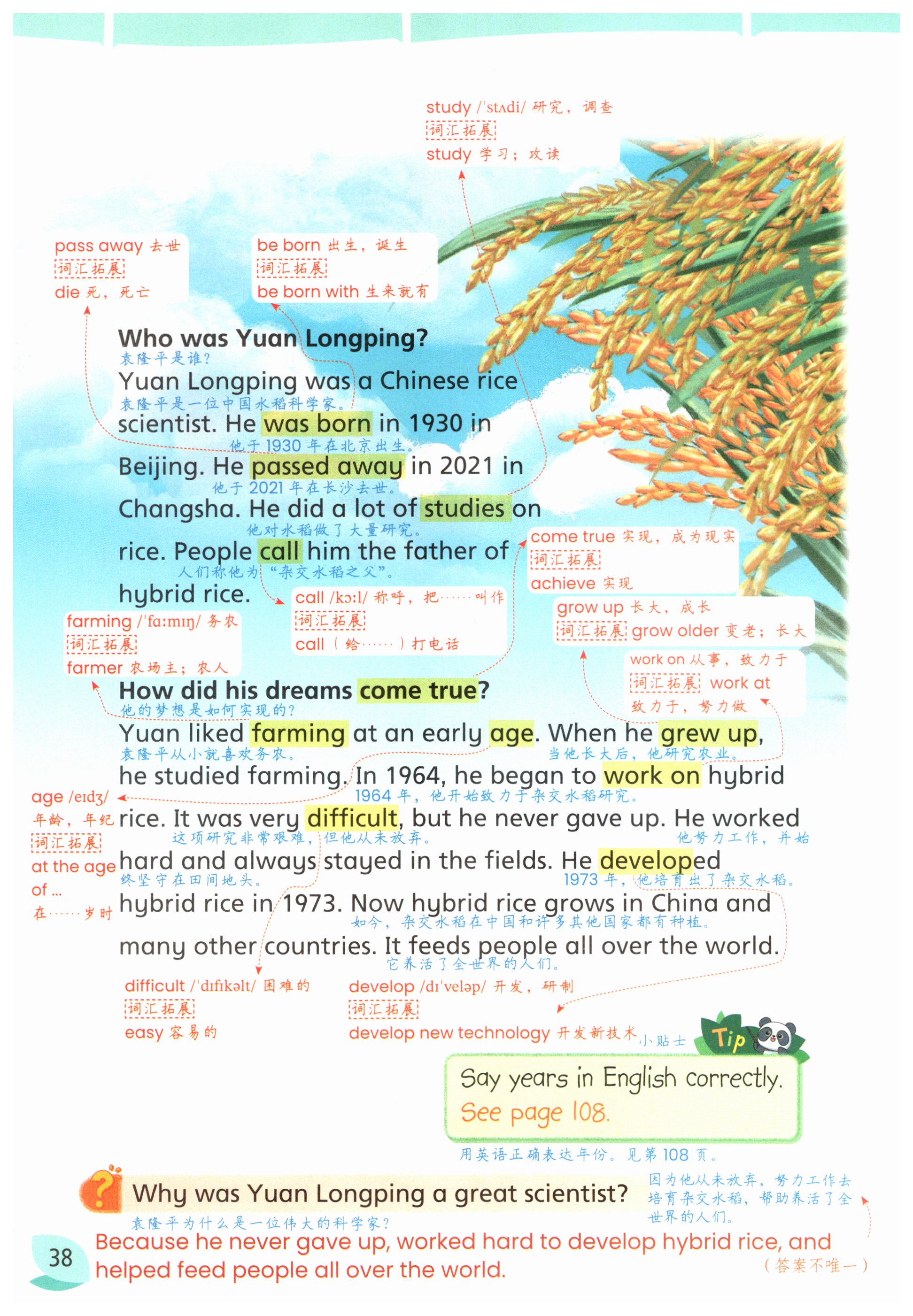 第38页